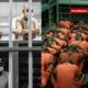 Comparación entre el CACCO de Costa Rica y el CECOT de El Salvador, dos centros penitenciarios de alta seguridad.